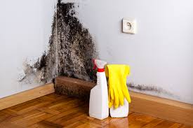 Best Industrial Mold Remediation  in Rose Hills, CA